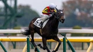 【東京1R】プーシャン騎乗 マカレイが人気に応える…最内から抜け出す