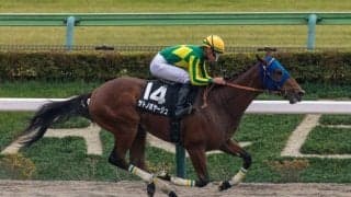 【オキザリス賞】サトノボヤージュが５馬身差圧勝