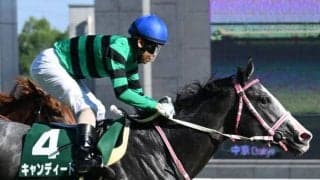 【デイリー杯2歳S】キャンディード、カヴァレリッツォらが登録