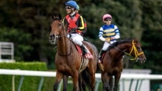 エリザベス女王杯など3重賞/今週の競馬界の見どころ