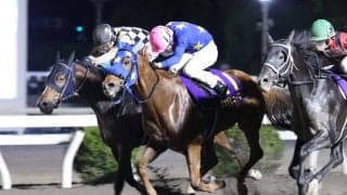 【高知・黒潮マイルCS】老いてなお強し！11歳馬グッドヒューマーが快勝