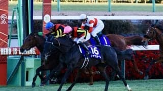 【エリザベス女王杯登録馬】グランプリホース・レガレイラなど19頭