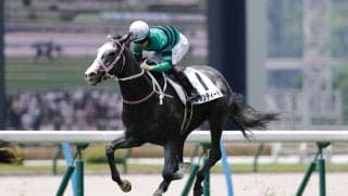 【デイリー杯2歳S登録馬】キャンディードなど12頭