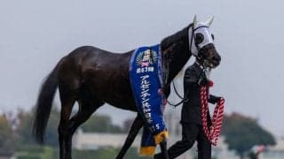 WIN5は554万円超の払戻し…アルゼンチン共和国杯は伏兵ミステリーウェイがV