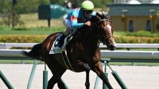 【デイリー杯2歳S見どころ】初戦が圧巻だったカヴァレリッツォ