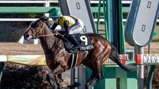 【武蔵野S見どころ】地力強化歴然のルクソールカフェ