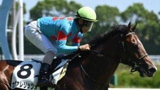 【デイリー杯2歳S想定騎手】カヴァレリッツォはC.デムーロ騎手、アドマイヤクワッズは坂井瑠星騎手