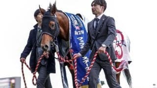 【武蔵野S想定騎手】コスタノヴァはC.ルメール騎手、オメガギネスは岩田康誠騎手