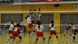 春高バレー神奈川大会、男女ともベスト4決まる　15日に準決勝と決勝