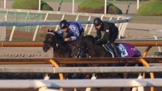 様々な調教パターンで念入りに調整 ジュンプリメーロが日曜京都で初陣/関西馬メイクデビュー情報