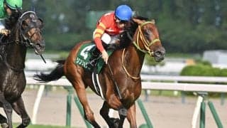 【AI予想・エリザベス女王杯】関西馬有利で関東馬は前走の結果が重要!? 人工知能は前走の内容が光る3頭に高評価