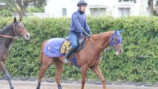 全兄が米G1馬のダノンマスタング 田中博師「いいスピードがありそう」/関東馬メイクデビュー情報