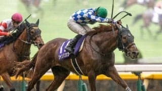 【マイルCS出走馬決定順】フルゲート18頭に22頭が登録 GI馬シャンパンカラーなど4頭が除外見込み