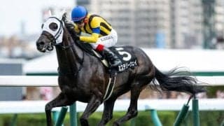 母父から受け継ぐ粘り強さで逃げ切り ミステリーウェイのAR共和国杯制覇を血統面から回顧