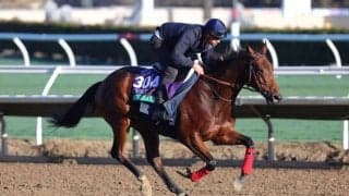 【ジャパンカップ】アイルランド＆フランスから4頭が正式参戦へ