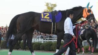 現役時代はGI級10勝 種牡馬としても大活躍の名馬「ホッコータルマエ」を紹介