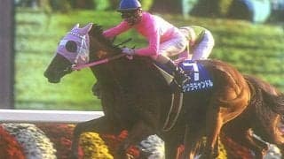 世代限定戦で行われた最後の年 サクラキャンドルが制した95年エリザベス女王杯を振り返る