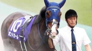 【エリザベス女王杯】「ウマ娘」藤田晋オーナーのボンドガール 悲願のGI初制覇なるか