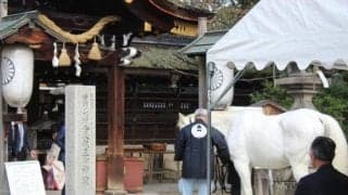 10日に藤森神社で競馬界の繁栄と安全を祈念する「シンシン祭」 縁が深い菱田裕二騎手も参列
