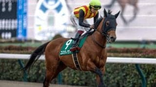 【武蔵野S予想オッズ】コスタノヴァが予想1番人気