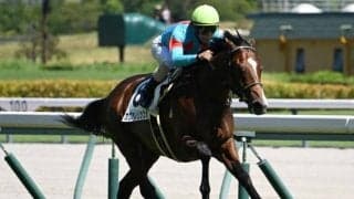 【デイリー杯2歳S予想オッズ】カヴァレリッツォが予想1番人気