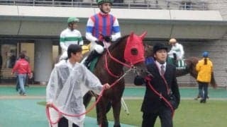 関東馬として最後に武蔵野Sを制したノンコノユメ 古馬重賞初制覇を振り返る