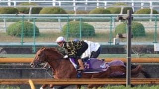 ダノンデサイル、ジャパンC2週前追い切り速報/栗東トレセンニュース