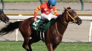 【エリザベス女王杯】珍名でお馴染みの由井健太郎オーナー シンリョクカでGI初制覇なるか