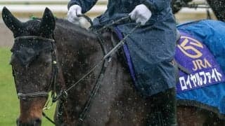 日曜劇場『ザ・ロイヤルファミリー』初回放送から1カ月 登場したJRAジョッキーや“出演馬”をまとめてみた