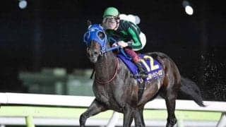 【大井・ハイセイコー記念結果】ゼーロスが人気に応えて重賞初制覇