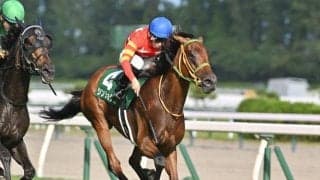 【エリザベス女王杯予想】波乱もある秋の牝馬チャンピオン決定戦 AIは人気薄の一頭に注目