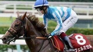 【エリザベス女王杯】鮫島克駿騎手がGI初制覇なるか 伏兵ヴェルミセルで一発狙う