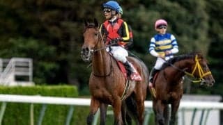 【エリザベス女王杯出走馬・騎手確定】レガレイラ＆戸崎圭太騎手、ココナッツブラウン＆北村友一騎手など16頭