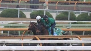 ベラジオオペラ、香港C追い切り速報//栗東トレセンニュース