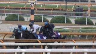 クロワデュノール、帰国後初追い切り速報/栗東トレセンニュース