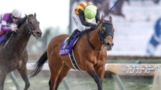 【武蔵野S出走馬・騎手確定】コスタノヴァ＆C.ルメール騎手、オメガギネス＆岩田康誠騎手など16頭