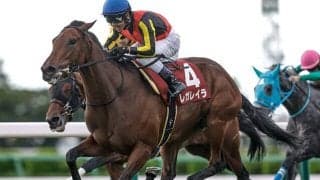 【エリザベス女王杯・調教後馬体重】レガレイラは482kg、ステレンボッシュは480kg