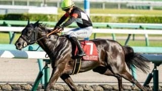 【エリザベス女王杯】人気薄の激走はローテに秘密？ 過去10年で100％のデータあり