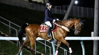 【ホッカイドウ競馬】門別競馬場の年間入場者数が史上最多に…開場以来の新記録を更新