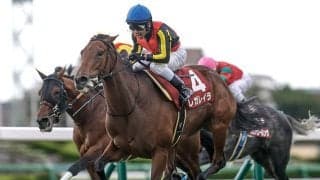 【エリザベス女王杯枠順確定】レガレイラは4枠7番、ココナッツブラウンは7枠13番