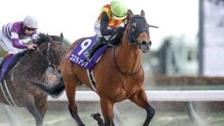 【武蔵野S枠順確定】コスタノヴァは2枠4番、ルクソールカフェは8枠16番