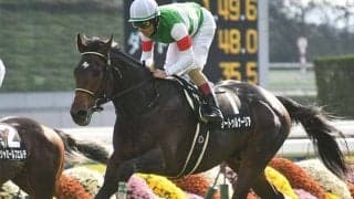 セレクト2億円のサートゥルナーリア産駒 ダノンプレサージュがD.レーン騎手でデビュー勝ち狙う