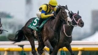 今年のアルテミスS覇者フィロステファニが登録抹消 今後は社台ファームで繁殖入りの予定