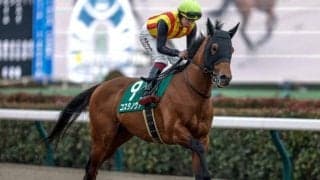 【武蔵野S予想】前走大敗馬は大きな割引が必要!? 東京巧者に立ちはだかる大きな壁とは