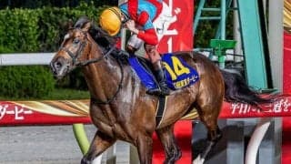 半兄は東京ダービー馬のラムジェット タイキブリッツェンがデビュー勝ちなるか