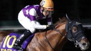 東京ダートはストームキャット系に要注意 武蔵野Sはサンライズフレイムが波乱呼ぶ