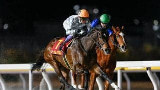 重賞3勝のオーサムリザルトが登録抹消 ノーザンファームで繁殖入りの予定