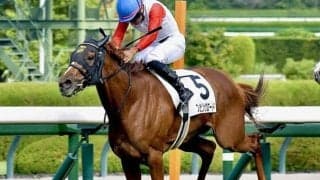 【奥多摩S】母はオークス馬ダイワエルシエーロ スライビングロードが3連勝でオープン入りなるか