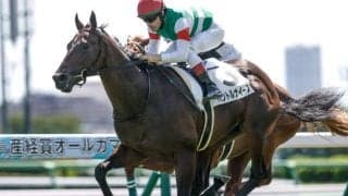 【東スポ杯2歳S想定馬・騎手】パントルナイーフ、ストームサンダーなど13頭