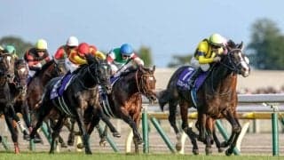 【ジャパンC想定馬・騎手】マスカレードボール、クロワデュノールなど16頭